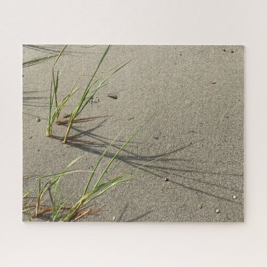 Cape Cod Sandy Beach Puzzle (Horizontal)