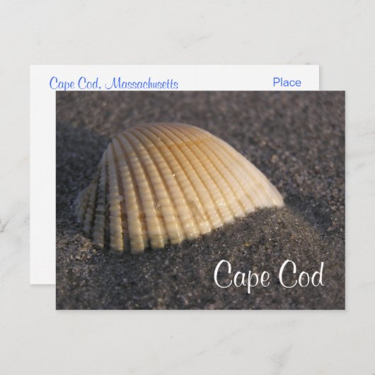 Cape Cod Seashell sur la carte de poste de plage (Devant / Derrière)
