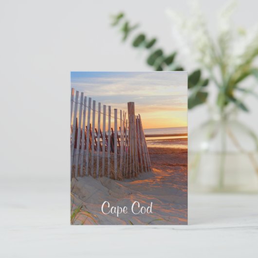 Cape Cod Sunrise Over Beach Brewster Carte postale (Debout devant)