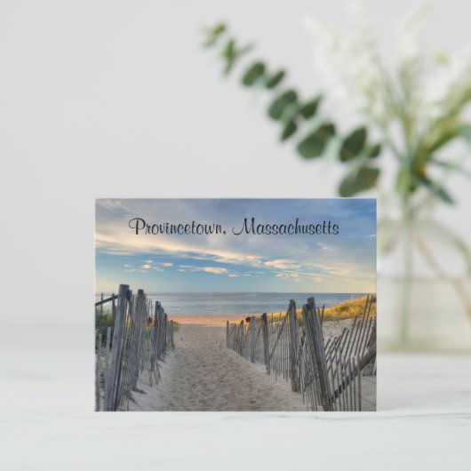 Cape Cod Sunset Provincetown, MA Beach Carte posta (Debout devant)