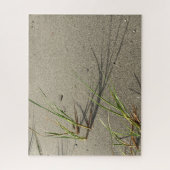 Cape Cod Zandstrand Puzzel (Verticaal)