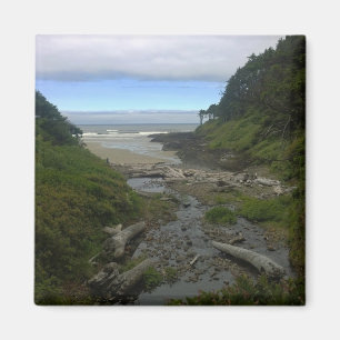Cape Cove, Cape Perpetua, OF Magneet