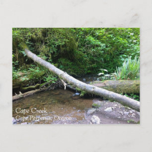 Cape Creek, Cape Perpetua, Oregon Briefkaart