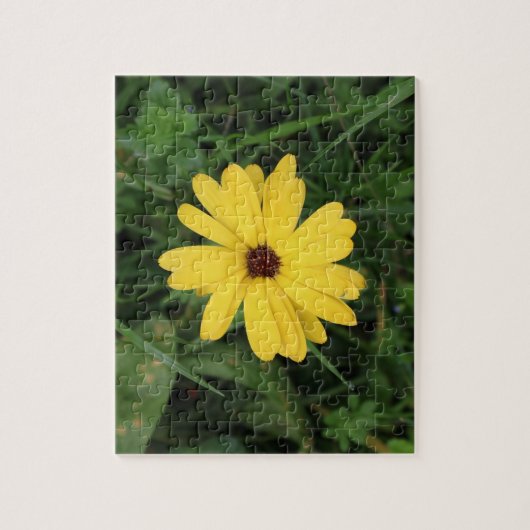 Cape Daisy (gele bloem) Legpuzzel (Verticaal)