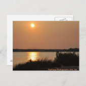 Cape Fear River Briefkaart (Voorkant / Achterkant)