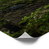 Cape Flattery, staat Washington Poster (Hoek)