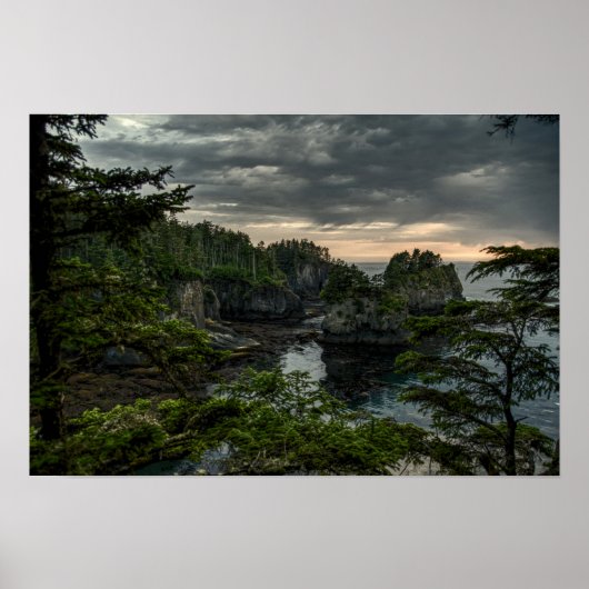 Cape Flattery, staat Washington Poster (Voorkant)