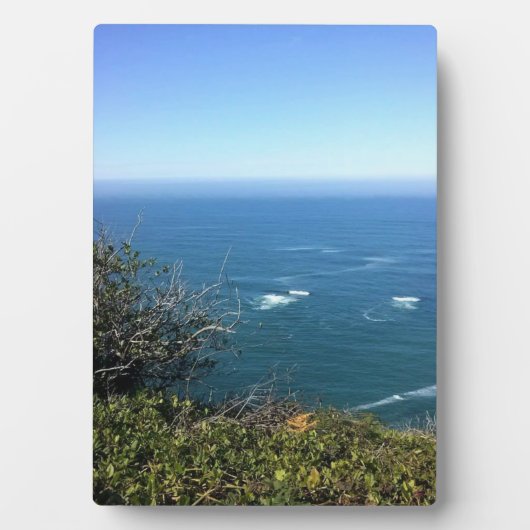 Cape Foulweather, Oregon Fotoplaat (voorkant)