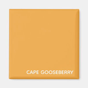 Cape Gooseberry gele kleurnaam Magneet