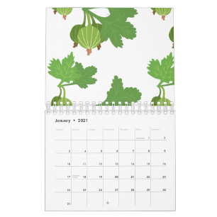 Cape Gooseberry Plant Exotisch Fruit Physalis Kalender