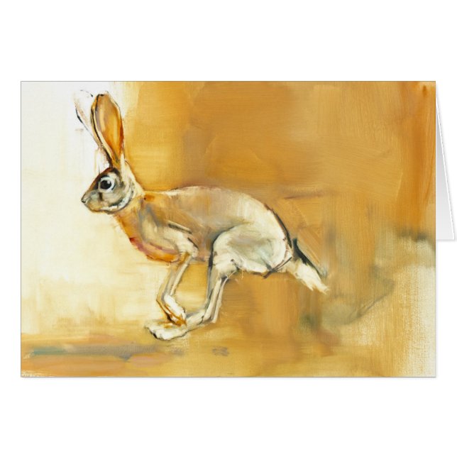 Cape Hare 2010 (Voorkant Horizontaal)
