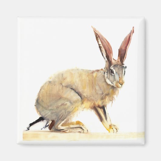 Cape Hare 2010 2 Magneet (Voorkant)