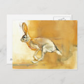 Cape Hare 2010 Briefkaart (Voorkant / Achterkant)