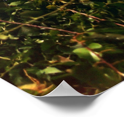 Cape Henry Lighthouse Poster (Hoek)