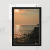 Cape May Briefkaart (Voorkant / Achterkant)