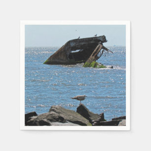 Cape May-scheepswrak Servet