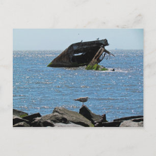 Cape May Shipwreck Briefkaart