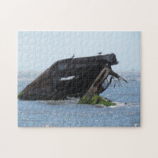Cape May Shipwreck Legpuzzel (Horizontaal)