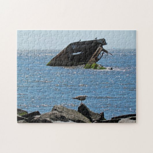 Cape May Shipwreck Legpuzzel (Horizontaal)