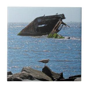 Cape May Shipwreck Tegeltje