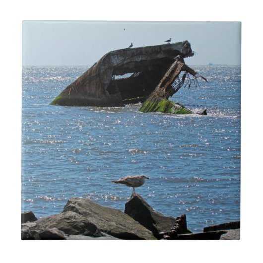 Cape May Shipwreck Tegeltje (Voorkant)
