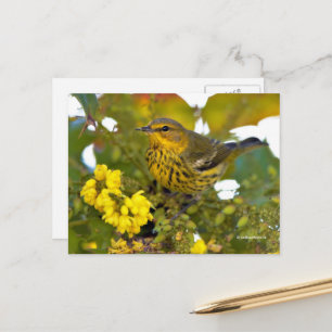 Cape May Warbler Songbird met bloeiende mahonia Briefkaart
