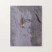 Cape Neddick Least Sandpiper Legpuzzel (Verticaal)