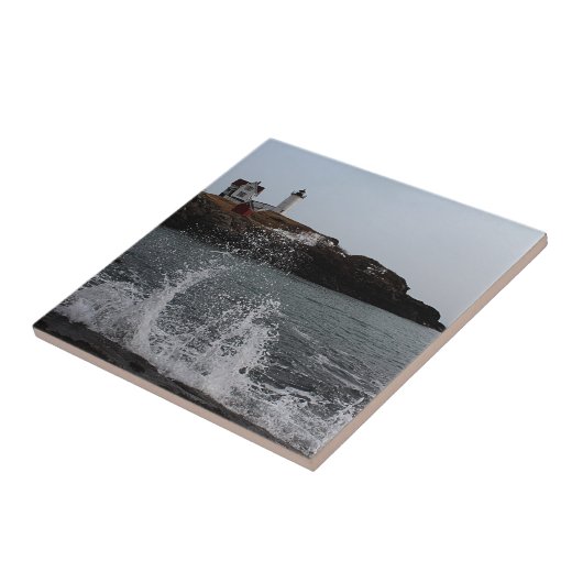 Cape Neddick / Nubble Light Tegeltje (Zijkant)