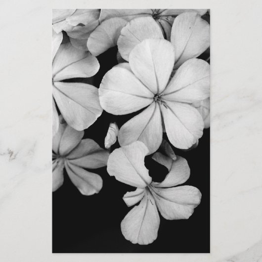 Cape plumbago briefpapier (Voorkant)