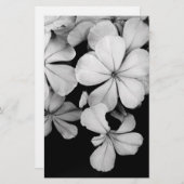 Cape plumbago briefpapier (Voorkant / Achterkant)