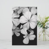 Cape plumbago briefpapier (Staand voorkant)