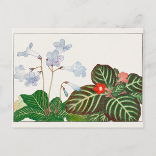 Cape primrose, vlamviolet door Tanigami Konan Briefkaart