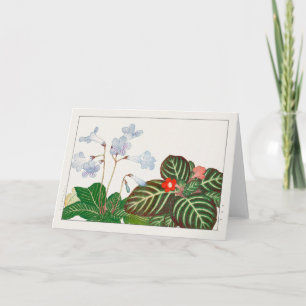 Cape primrose, vlamviolet door Tanigami Konan Kaart