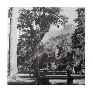 Cape Town De Waal Park Mountain Zuid-Afrika ZA Tegeltje