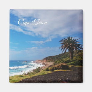 Cape Town Palm Beach Landschap Magneet