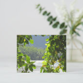 Cape Tribulation - Australia Briefkaart (Staand voorkant)