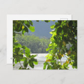 Cape Tribulation - Australia Briefkaart (Voorkant / Achterkant)