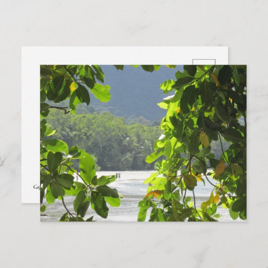 Cape Tribulation - Australia Briefkaart (Voorkant / Achterkant)