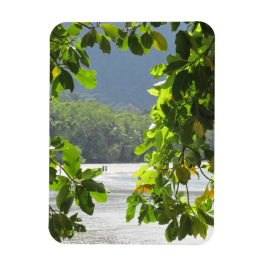 Cape Tribulation Flexible Photo Magnet (Vertical)