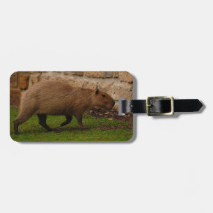 capibara bagagelabel