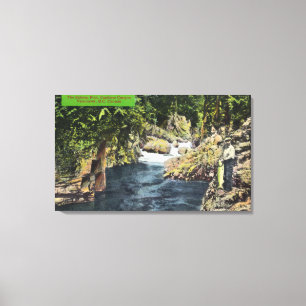 Capilano Canyon Uitzicht van de zalmpool Canvas Afdruk