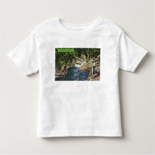 Capilano Canyon Uitzicht van de zalmpool Kinder Shirts