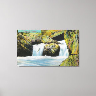 Capilano Canyon Uitzicht van zalmlekkage stroomopw Canvas Afdruk
