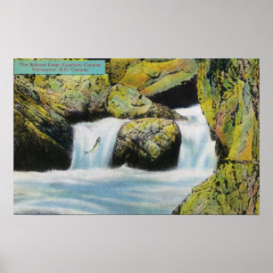 Capilano Canyon Uitzicht van zalmlekkage stroomopw Poster