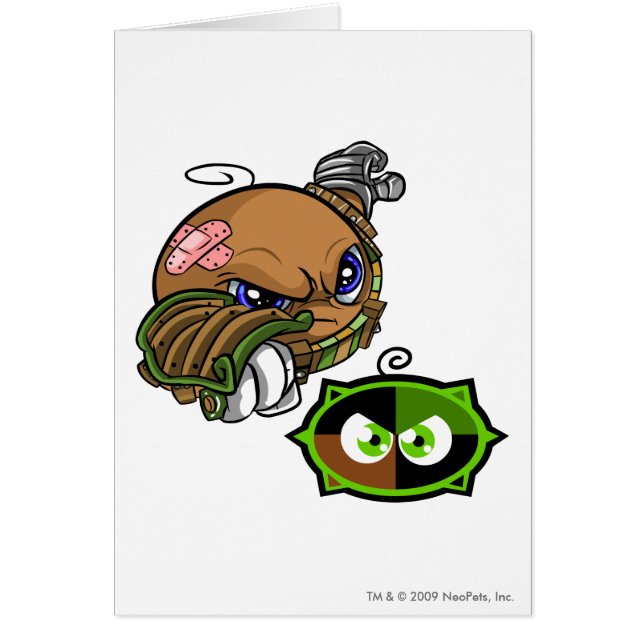 Capitaine 1 d'équipe de lac Kiko (Devant)