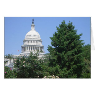 Capitol Building vanuit Bartholdi Park