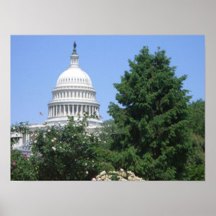 Capitol Building vanuit Bartholdi Park Poster