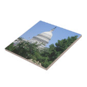 Capitol Building vanuit Bartholdi Park Tegeltje (Zijkant)