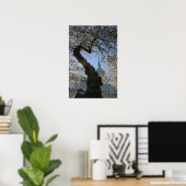 Capitol Cherry Tree Poster (Thuiskantoor)