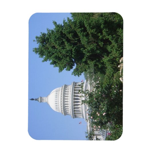 Capitol-gebouw van Bartholdi Park Magneet (Verticaal)